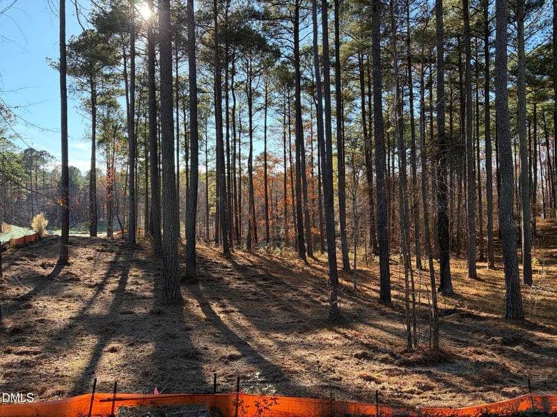 6713 Bartley Point Dr Lot 20, New Hill, NC 27562