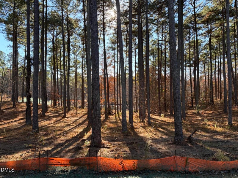 6713 Bartley Point Dr Lot 20, New Hill, NC 27562