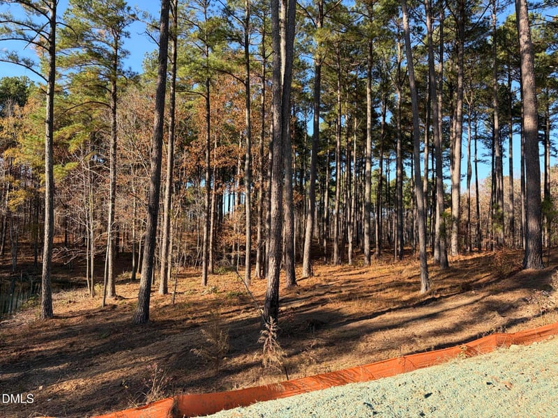 6713 Bartley Point Dr Lot 20, New Hill, NC 27562