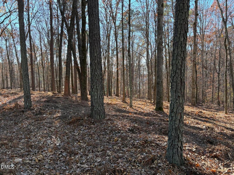 6729 Bartley Point Dr Lot 17, New Hill, NC 27562