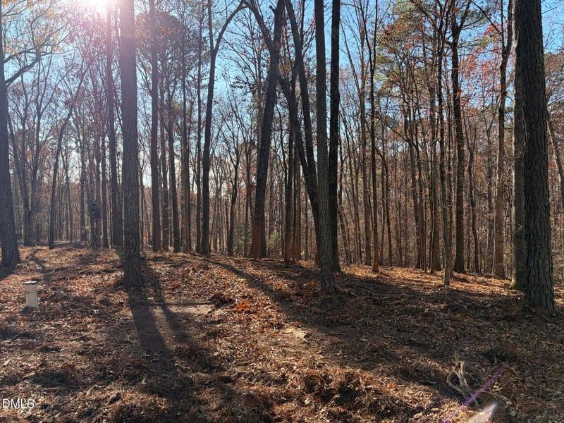 6729 Bartley Point Dr Lot 17, New Hill, NC 27562