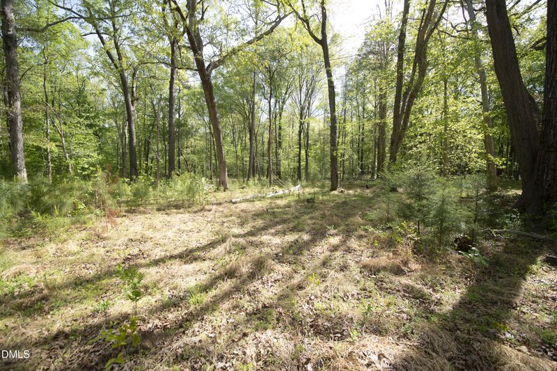 7202 Old Nc 86 Lot N/A, Chapel Hill, NC 27516