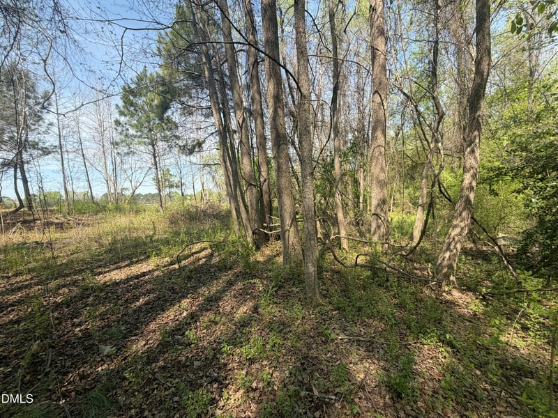 73 Hall Rd Lot 2, Erwin, NC 28339