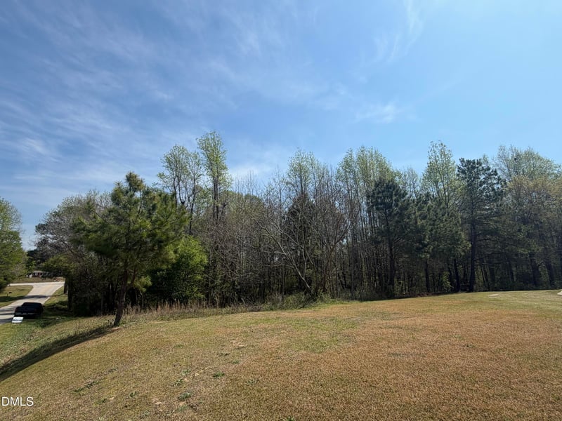 73 Hall Rd Lot 2, Erwin, NC 28339
