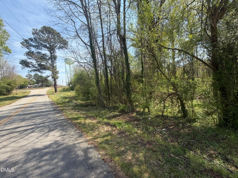 73 Hall Rd Lot 2, Erwin, NC 28339