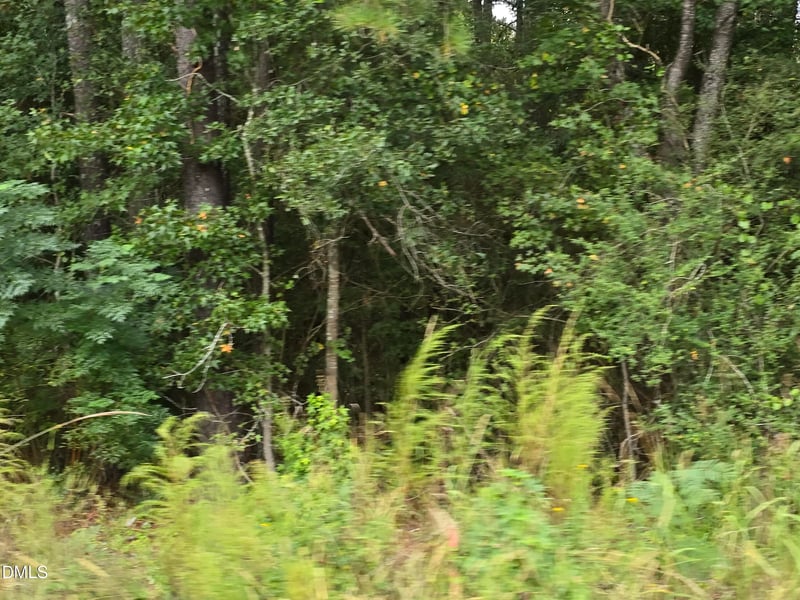 734 Cotton Rd Lot 1, Fuquay Varina, NC 27526