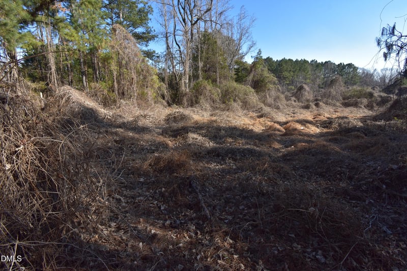 816 Mitchell Ave Lot 312, Franklinton, NC 27525