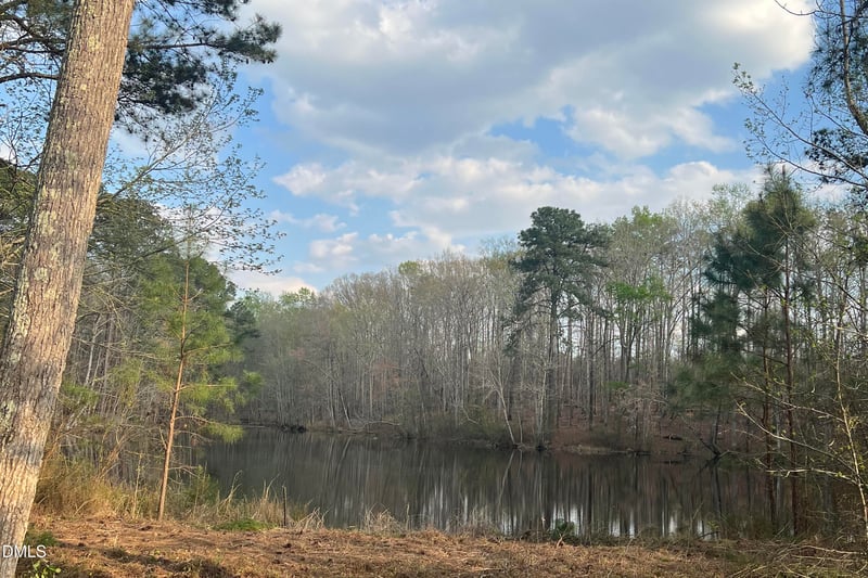 89 New Castle Ct, Clayton, NC 27520
