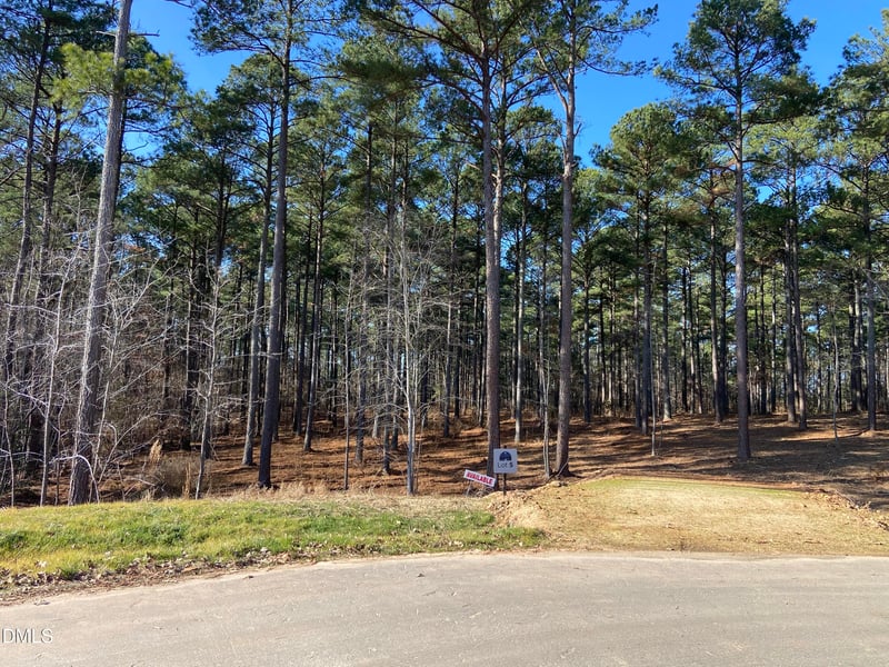 8917 Morning Song Ct Lot 5, New Hill, NC 27562