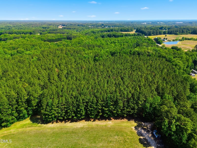 9.97 Acres S Hwy 39, Zebulon, NC 27597
