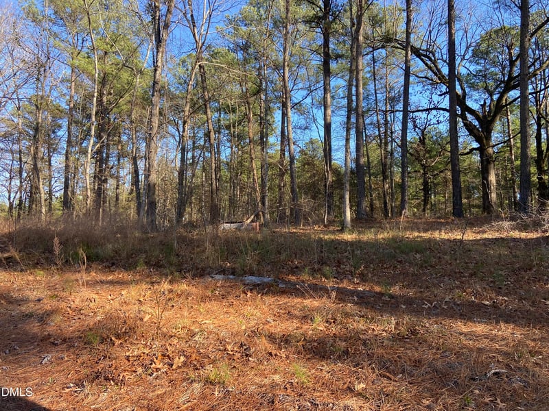 9113 Moon Lake Ln Lot 22, New Hill, NC 27562