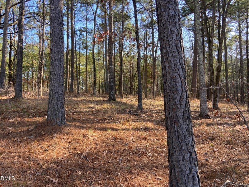 9113 Moon Lake Ln Lot 22, New Hill, NC 27562