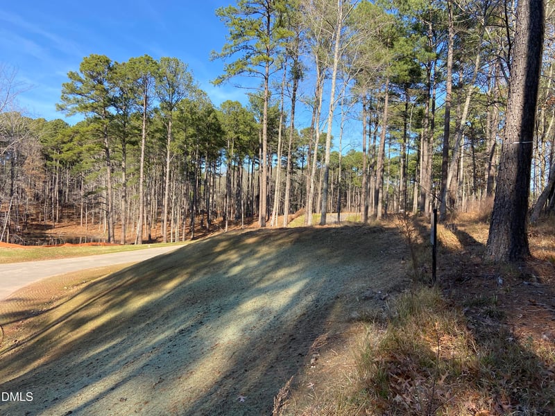 9113 Moon Lake Ln Lot 22, New Hill, NC 27562
