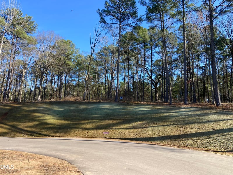 9113 Moon Lake Ln Lot 22, New Hill, NC 27562