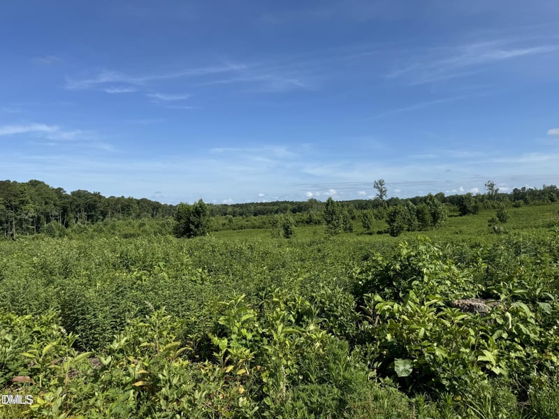 9485 N Carolina 39 Lot 5, Middlesex, NC 27557