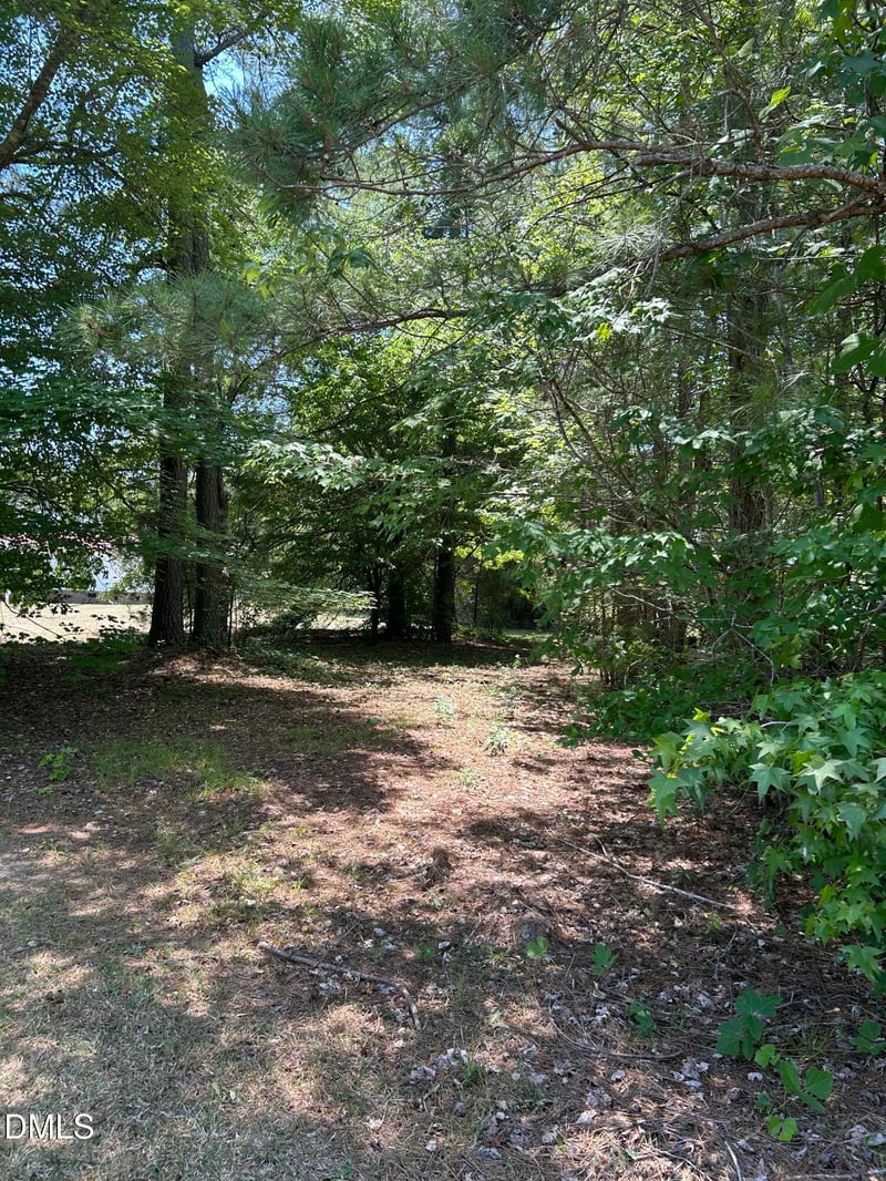 9731 Old Middlesex Rd Lot 1, Middlesex, NC 27557