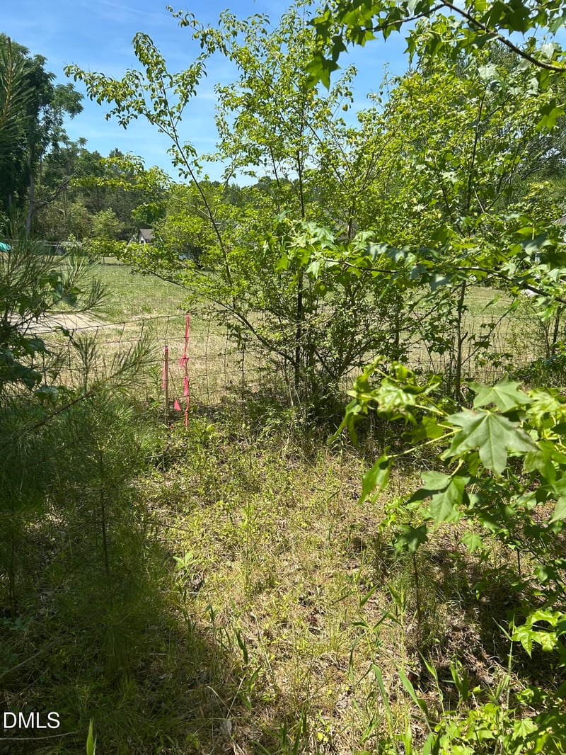 9731 Old Middlesex Rd Lot 1, Middlesex, NC 27557