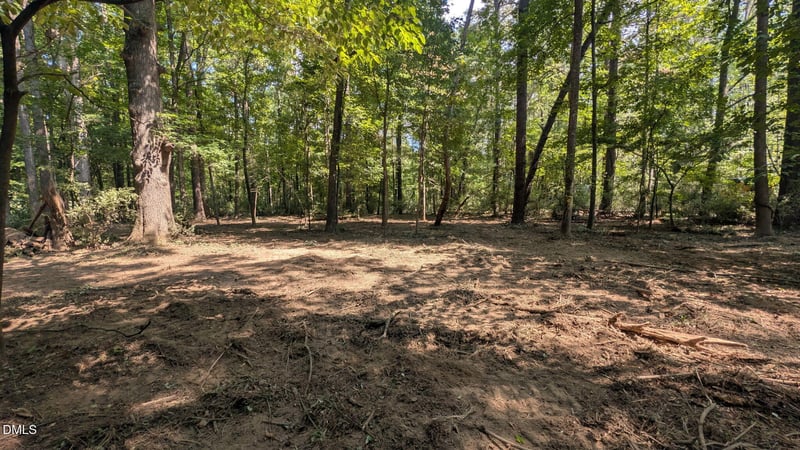 Lot 1 Blueberry Ln Lot 1, Chapel Hill, NC 27516