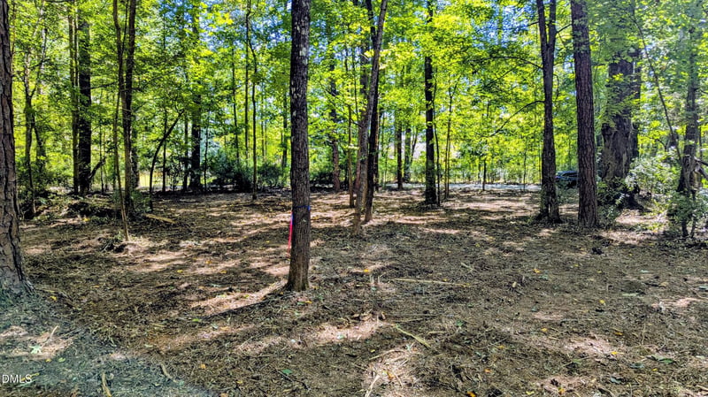 Lot 1 Blueberry Ln Lot 1, Chapel Hill, NC 27516