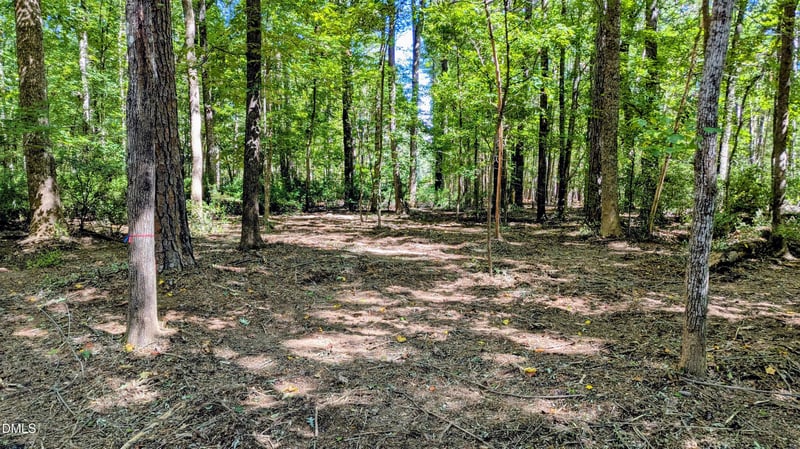 Lot 1 Blueberry Ln Lot 1, Chapel Hill, NC 27516