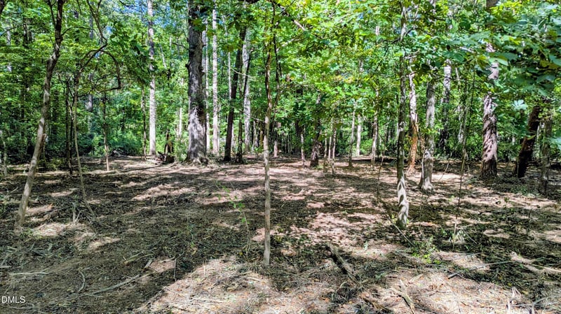 Lot 1 Blueberry Ln Lot 1, Chapel Hill, NC 27516