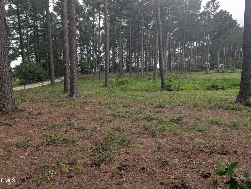 Tbd Peach Orchard Rd Lot 3B, Louisburg, NC 27549