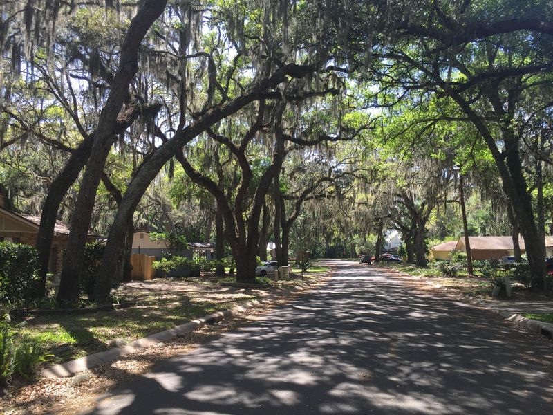0 5th Ave N, Jacksonville Beach, FL 32250