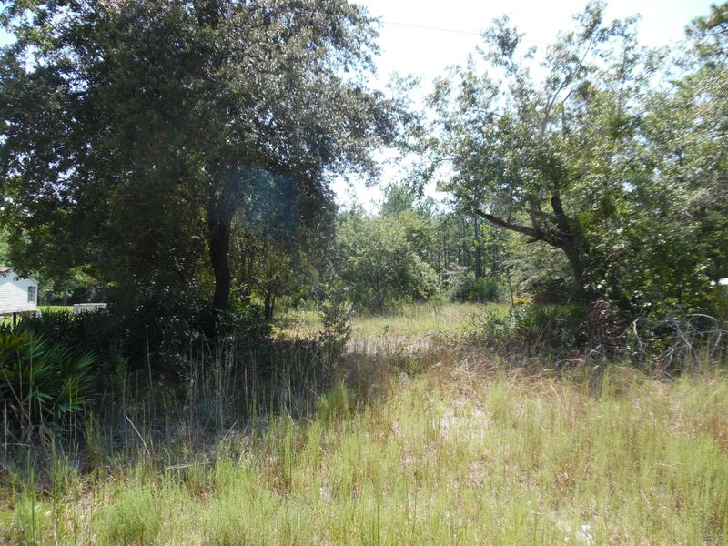 0 Bent Twig Rd, Middleburg, FL 32068