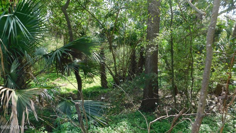 0 Bergmann, Jacksonville, FL 32208