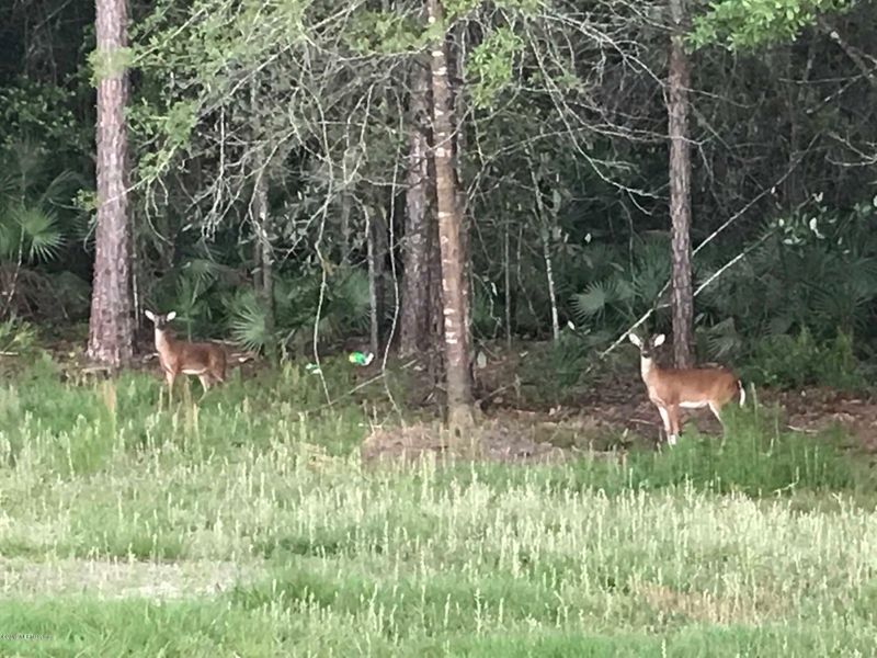 0 Birdies Rd, Jacksonville, FL 32256