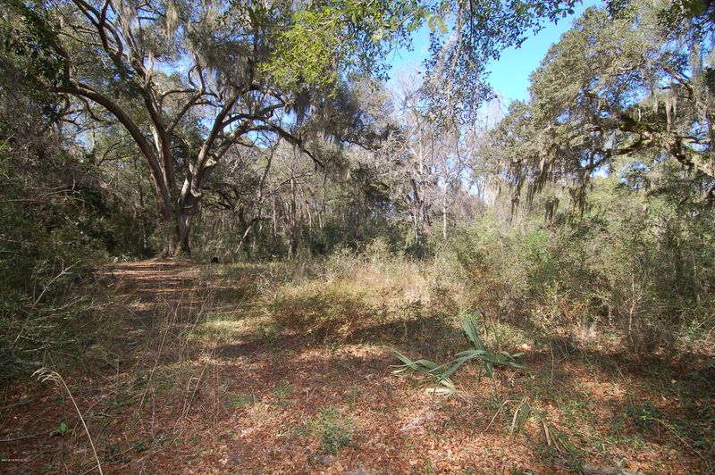 0 Blackrock Rd, Fernandina Beach, FL 32034