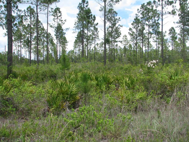 0 Breadcrumb Trl, Callahan, FL 32011