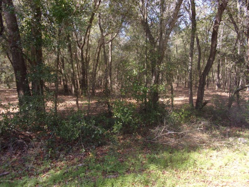 0 Charity Ln, Keystone Heights, FL 32656
