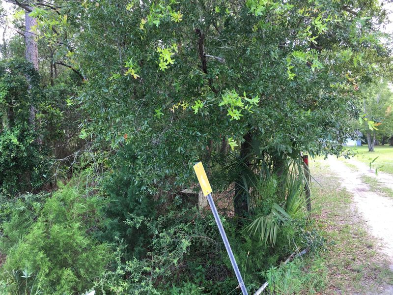 0 Cleveland Ave, Orange Park, FL 32065