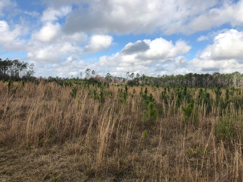 0 Co Rd 121, Bryceville, FL 32009