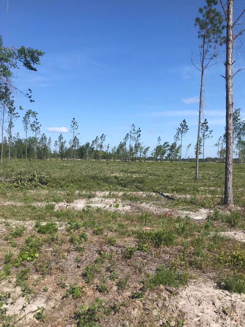 0 Co Rd 121 Lot 1, Hilliard, FL 32046