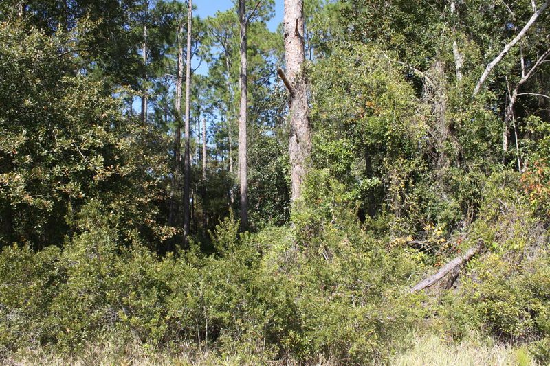 0 County Road 18, Starke, FL 32091