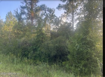 0 County Road 217, Jacksonville, FL 32234