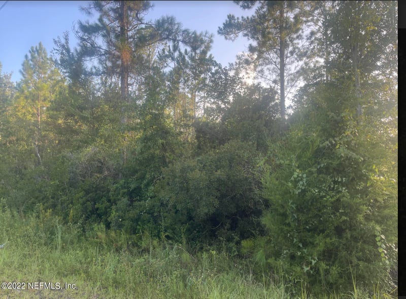 0 County Road 217, Jacksonville, FL 32234