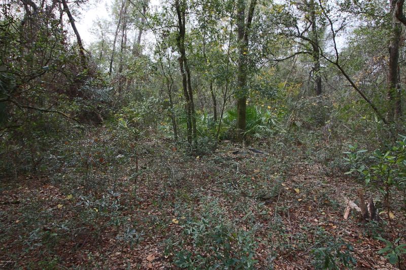 0 County Road 315, Keystone Heights, FL 32656