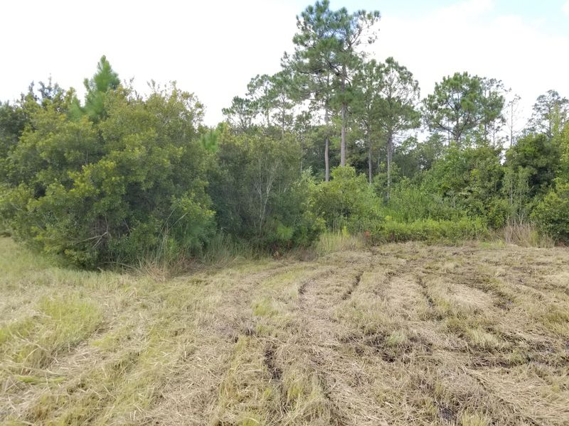 0 Crestview Ct, Middleburg, FL 32068