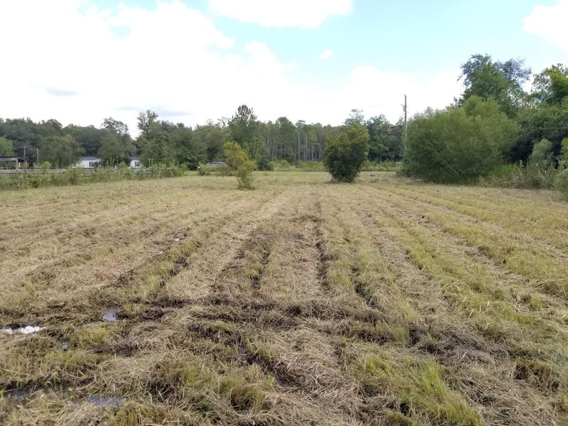 0 Crestview Ct, Middleburg, FL 32068
