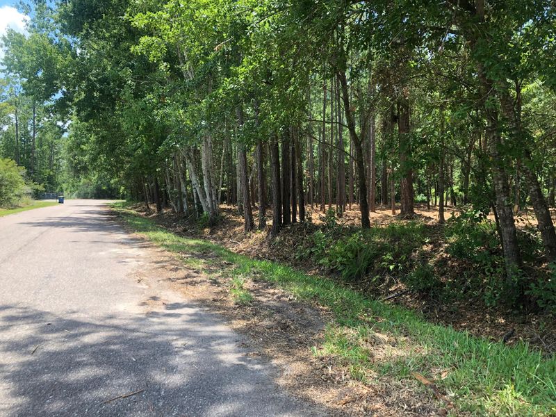 0 Cypress Crest Ln, Jacksonville, FL 32226