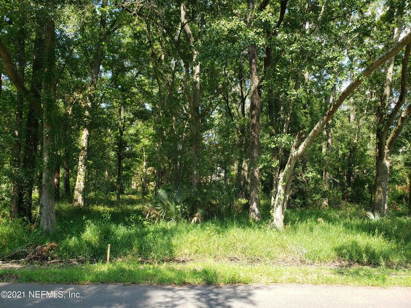0 Cypress Inn Dr, Jacksonville, FL 32209