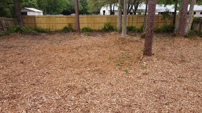 0 Deeder Ln, Jacksonville, FL 32258