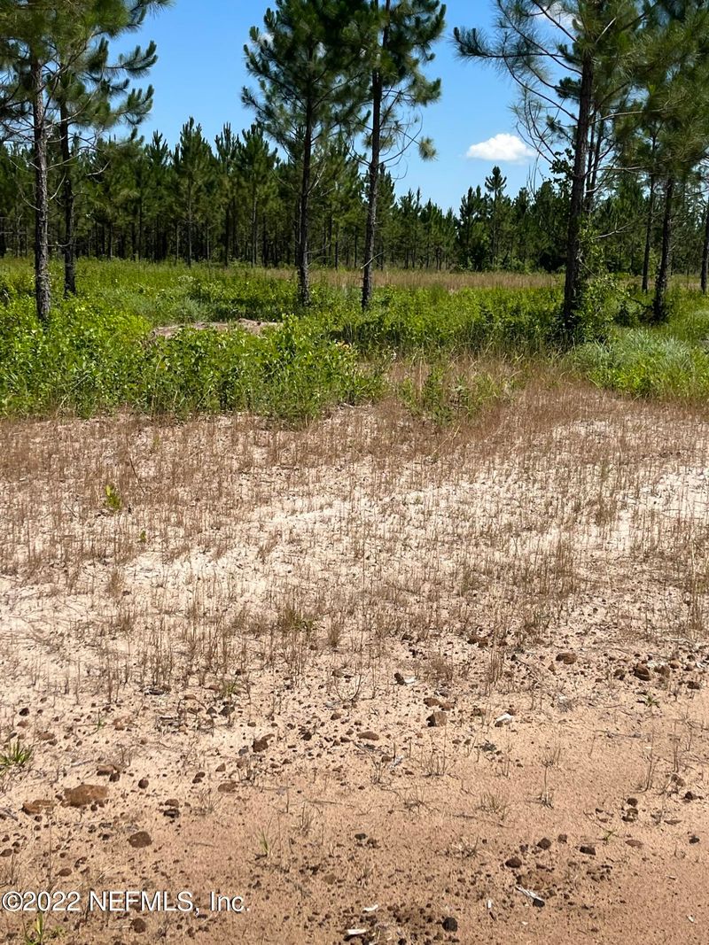 0 Dempsey Conner, Hilliard, FL 32046