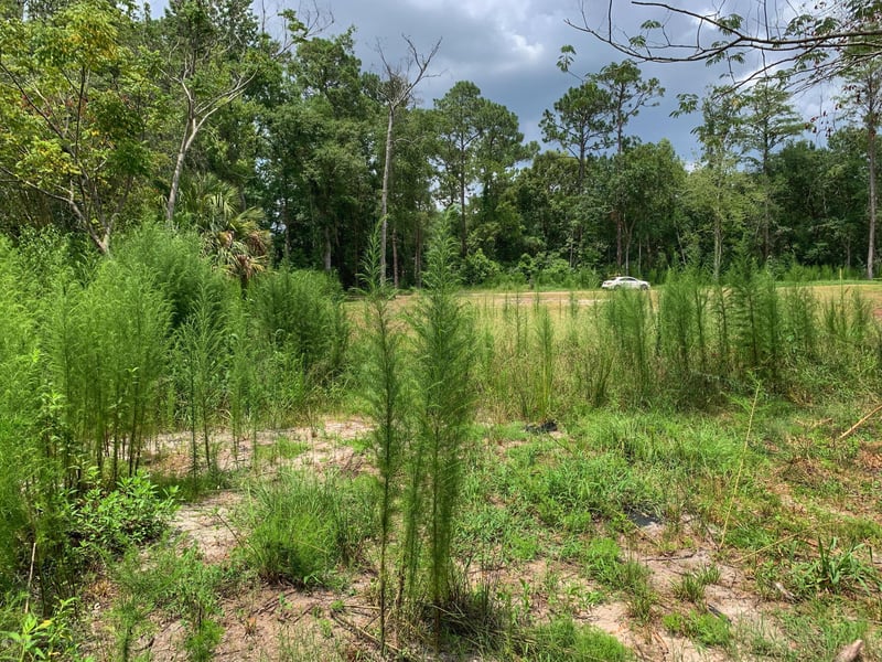 0 Derham Rd, Jacksonville, FL 32246