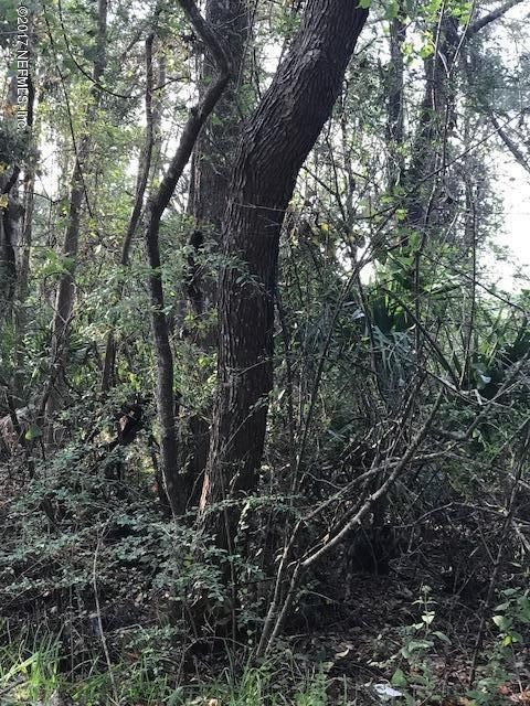 0 Dunn Creek Rd, Jacksonville, FL 32218