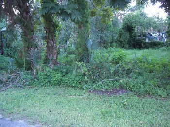 0 Edgar St, Atlantic Beach, FL 32233