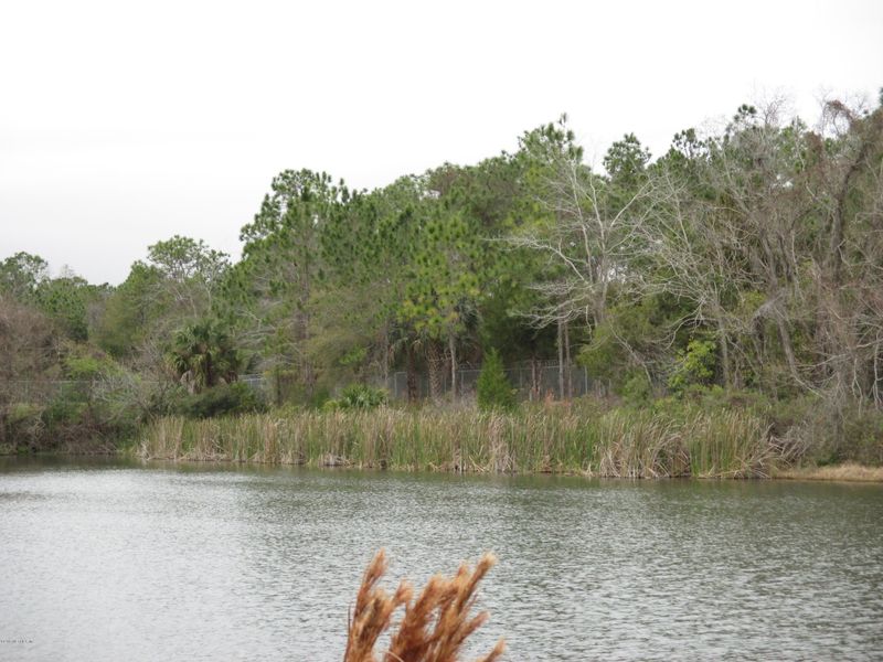 0 Emilys Walk Ln E, Jacksonville, FL 32221